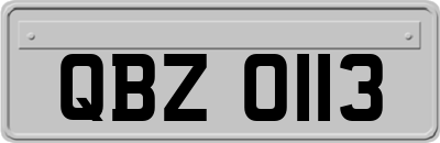 QBZ0113
