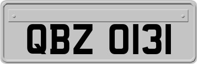 QBZ0131