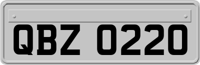 QBZ0220