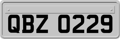 QBZ0229