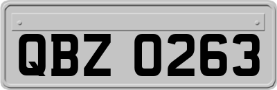 QBZ0263