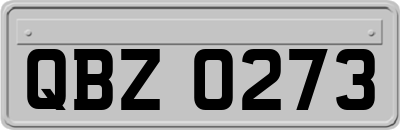 QBZ0273