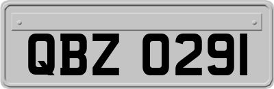 QBZ0291