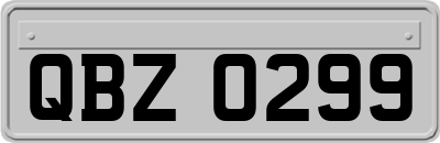 QBZ0299