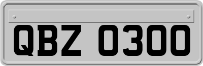 QBZ0300