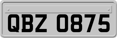 QBZ0875