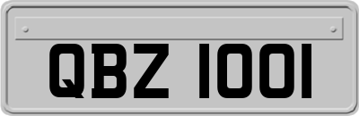 QBZ1001