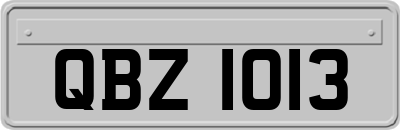 QBZ1013