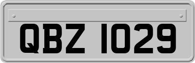 QBZ1029