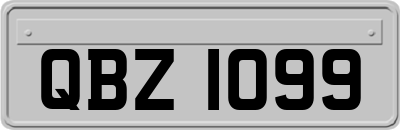 QBZ1099