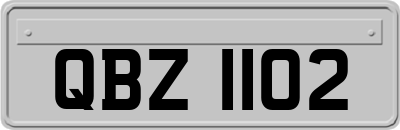 QBZ1102
