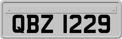 QBZ1229