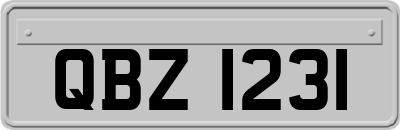 QBZ1231