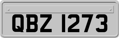QBZ1273