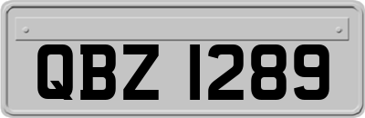 QBZ1289