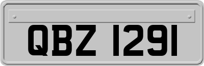 QBZ1291
