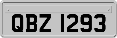QBZ1293