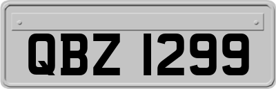 QBZ1299