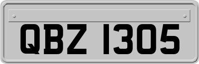 QBZ1305