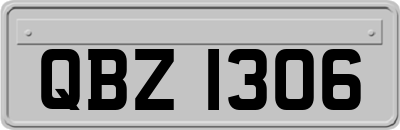 QBZ1306