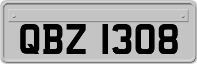 QBZ1308
