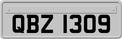 QBZ1309