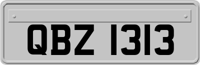 QBZ1313