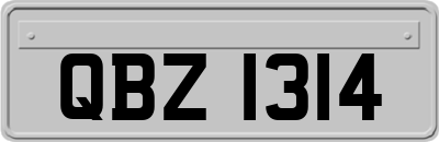 QBZ1314