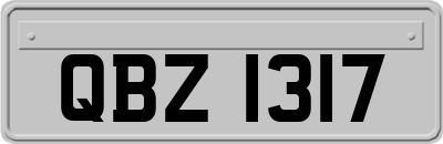 QBZ1317