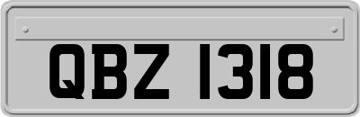 QBZ1318