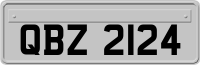 QBZ2124