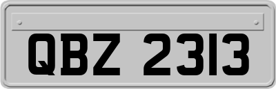 QBZ2313