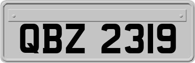 QBZ2319