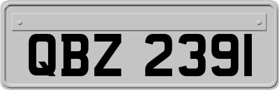 QBZ2391