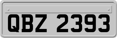 QBZ2393