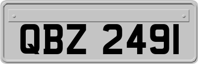 QBZ2491