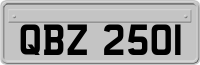 QBZ2501