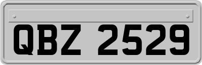 QBZ2529