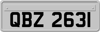 QBZ2631