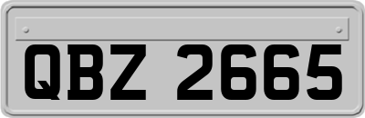 QBZ2665