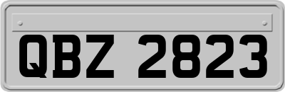 QBZ2823