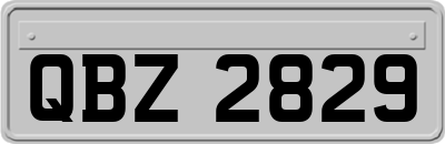 QBZ2829