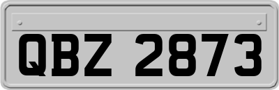 QBZ2873