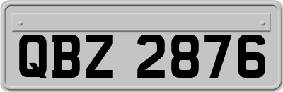 QBZ2876