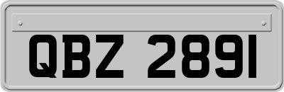 QBZ2891