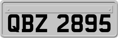 QBZ2895