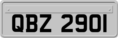 QBZ2901