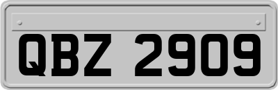 QBZ2909