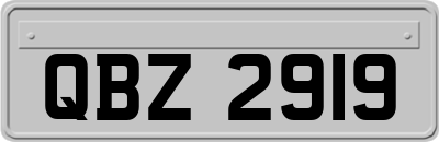 QBZ2919