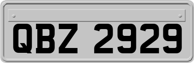 QBZ2929